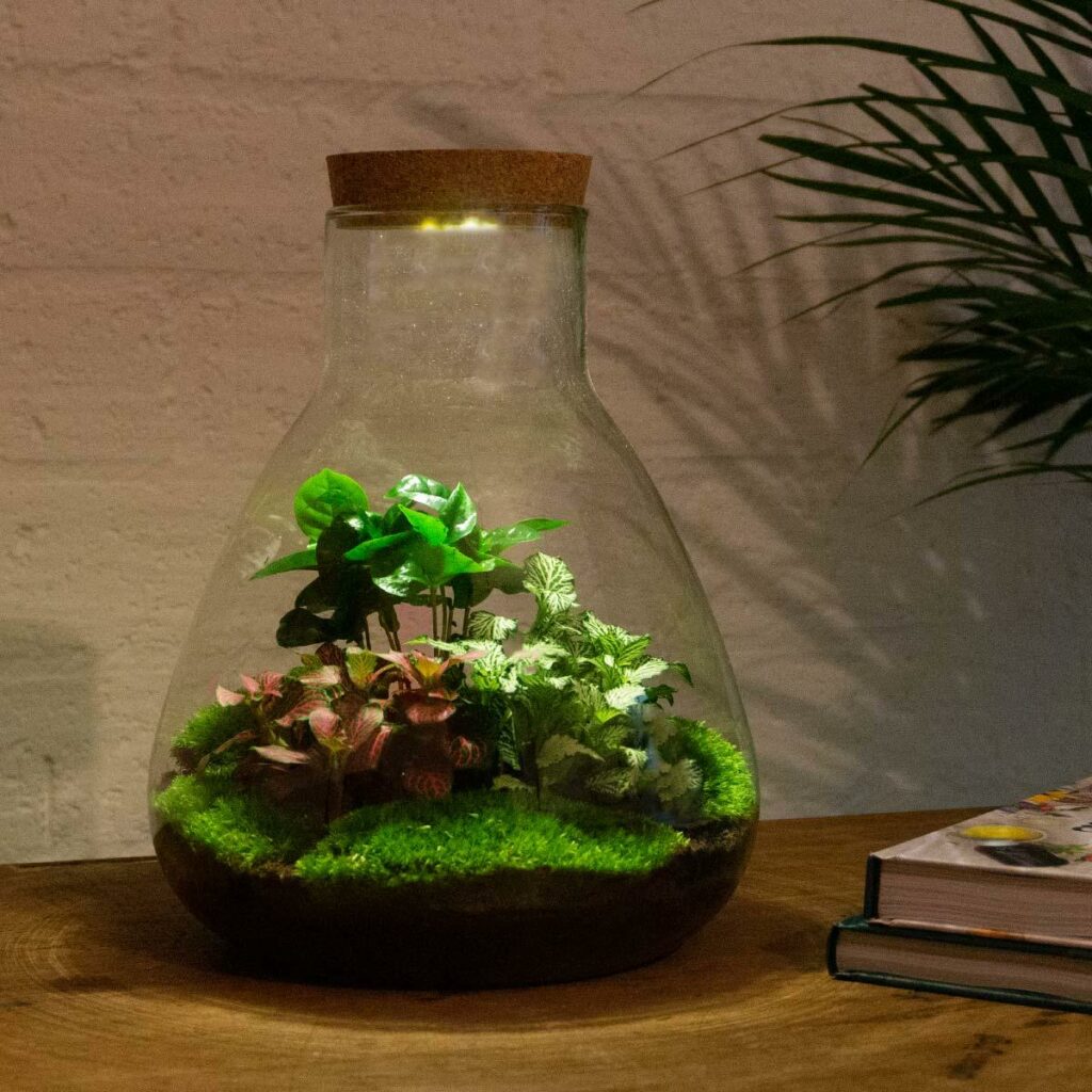 DIY plant terrariums: ontdek de voordelen en het gemak van deze groene wonderen